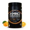 QNT Amino Endurance (BCAA)| 400g